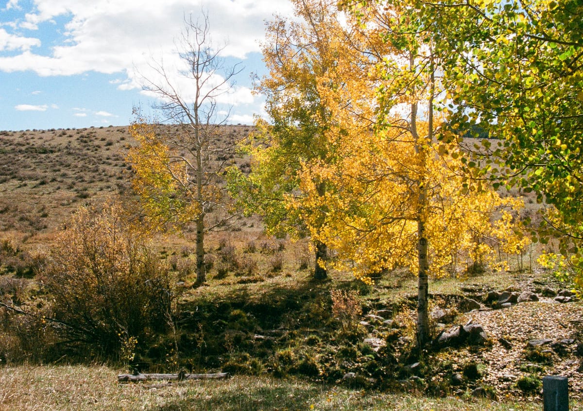 Autumn In Wyoming Mountains (35 MM Film)
